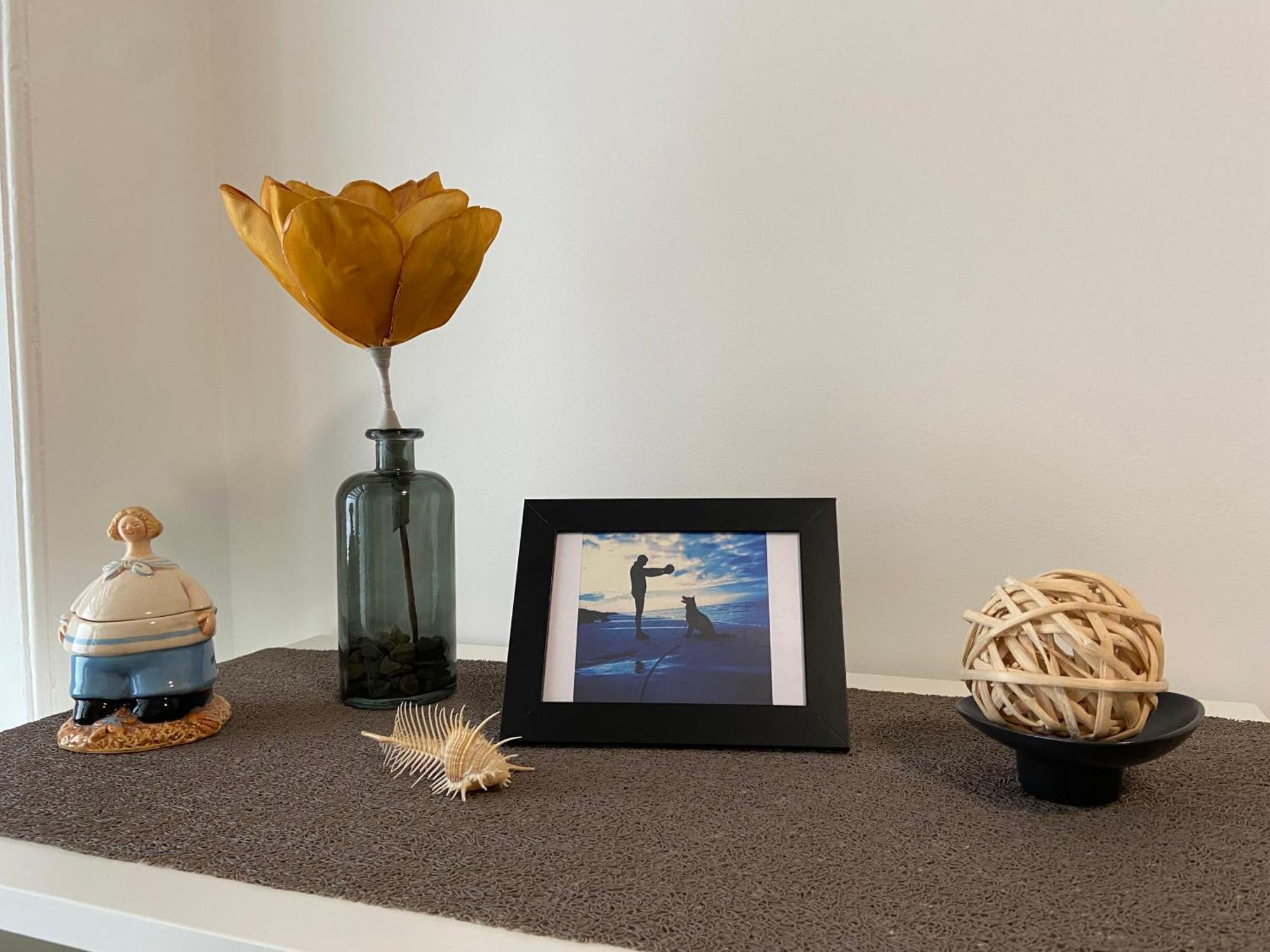 "Appartement Sur Digue" Proche De La Plage Avec Wifi 위머로우 외부 사진